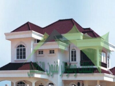 9808-big-5-1332110239qr