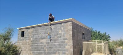 ساندويش بانل